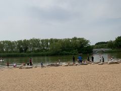 -大兴滨河森林公园