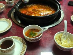 -乳仔牛牦牛汤锅 烤羊排(松潘古城店)