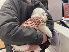 -瑞派康怡24h宠物医院·犬猫医疗中心·微创绝育(瑞景分院)