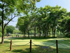 -上海佘山世茂艾美酒店