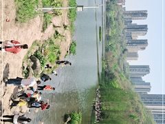 -重庆彩云湖湿地公园