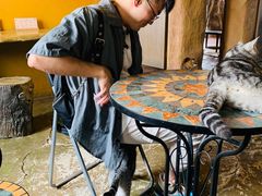 -猫猫幼稚园·撸猫·桌游·电玩