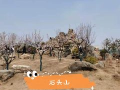 -郑州植物园