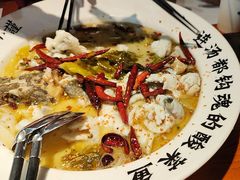 -宋小谨(惠安禹洲店)