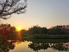 -福田红树林生态公园