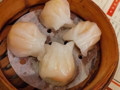 虾饺-捷信牛奶甜品世家(五道口店)