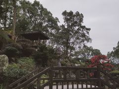 -南山植物园