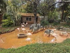 -昆明动物园