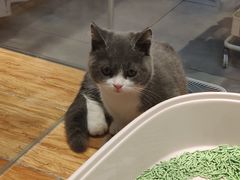 -狗道宠物(常熟印象城店)
