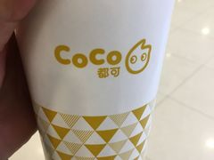 -CoCo都可(宝龙广场店)