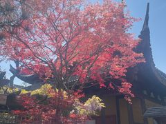 -龙华寺