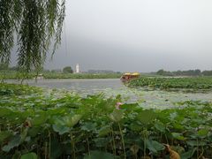 -白洋淀景区