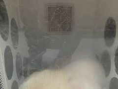 -嘉馨宠物医院·CT影像转诊·心脏科·犬猫全科诊疗中心(下沙大学城院区)