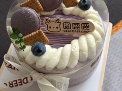 -圆鹿鹿·鲜果半糖蛋糕(常平店)