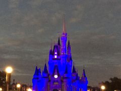 -奥兰多迪士尼动物王国乐园