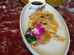 -碧丽宫大酒店(召稼楼店)