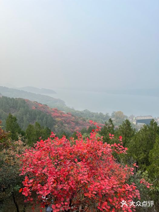十三陵水库图片
