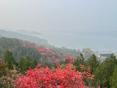 -十三陵水库