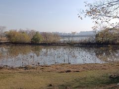 -盘龙城国家考古遗址公园