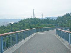 -金鸡山公园