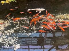 -聚缘堂·海鲜私房菜(松岭路店)
