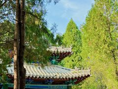 -四门塔风景区