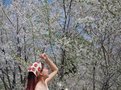 -杭州城北体育公园