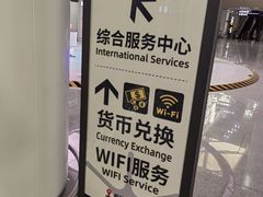 -青岛胶东国际机场
