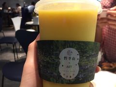 -野萃山·潮汕厚果汁(十亩地店)