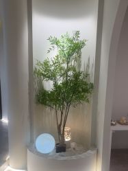 -VE小颜皮肤管理&科学美肤中心