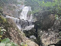 -东天目山风景区