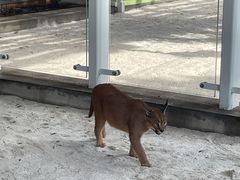 -北京野生动物园