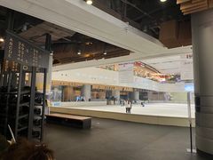 -TheRink大零溜冰场(IFS国金中心店)