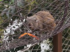 -四季轩中餐厅(徐州开元名都大酒店)