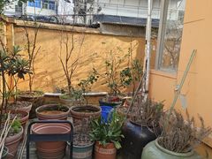 -吴家馄饨