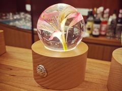 -二酉书店TOYOU BOOKS