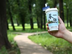 -承德避暑山庄景区