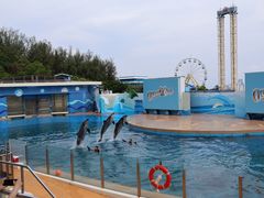 -香港海洋公园