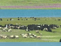 -青海湖国家重点风景名胜区