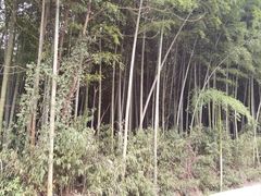 -会稽山峡洞漂流-上青古道