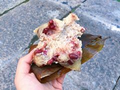 -老阿婆粽子(朱家角店)