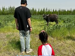 -九善农植有机生活农场