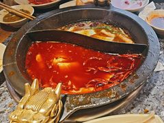 -蜀大侠火锅(总府路店)