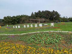 -保利石象湖景区