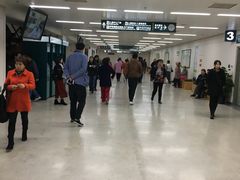 -首都医科大学附属北京潞河医院
