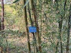 -中山市树木园