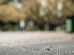 -苏州河梦清园环保主题公园