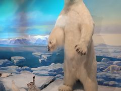 -陕西自然博物馆