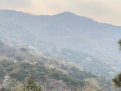 -北京西山国家森林公园