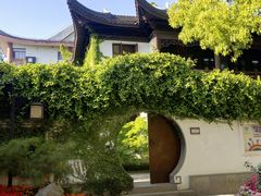 -上海醉白池公园
